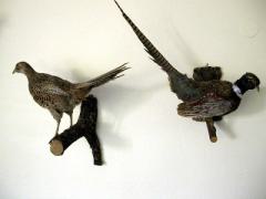 Spende für den Bio-Lehrsaal 6/2006