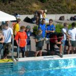 Teamtriathlon 7/2006