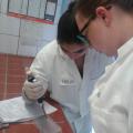 BIO LK 12 im Schülerlabor der Uni Trier