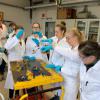 Chemie-LK-Exkursion 9/19