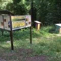 Bienenstand im Neufferpark