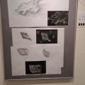 Kunst im Krankenhaus 4/24