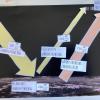 Projektwoche 6/25