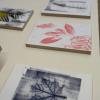 Projektwoche 6/25