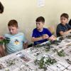 Projektwoche 6/25