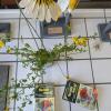 Impressionen Projektwoche 6/26
