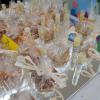 Impressionen Projektwoche 6/26