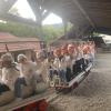 5. Klassen in Wolfstein 9/26