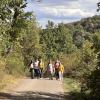 5. Klassen in Wolfstein 9/26